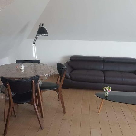 Orleans Appartement 2 Chambres Avec Parking Εξωτερικό φωτογραφία